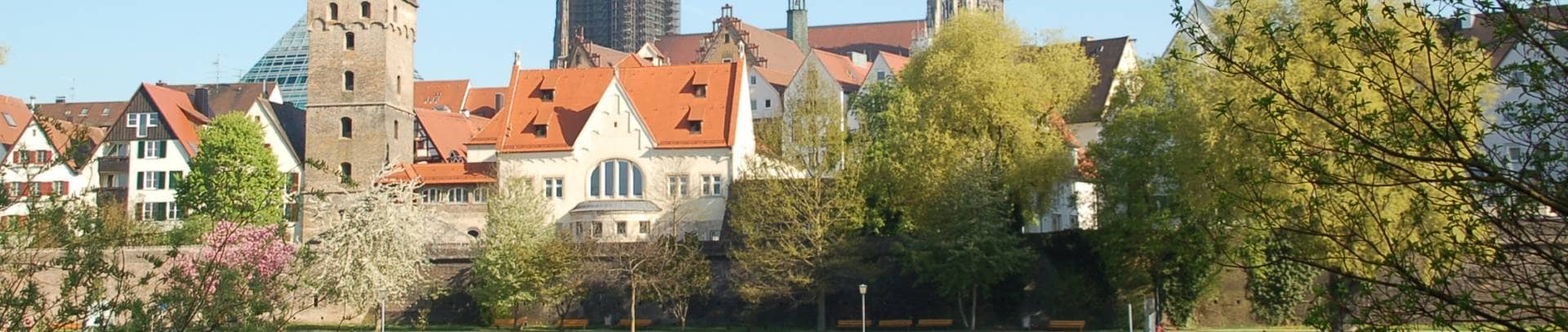 Ansicht der Musikschule vom Donauufer Neu-Ulm